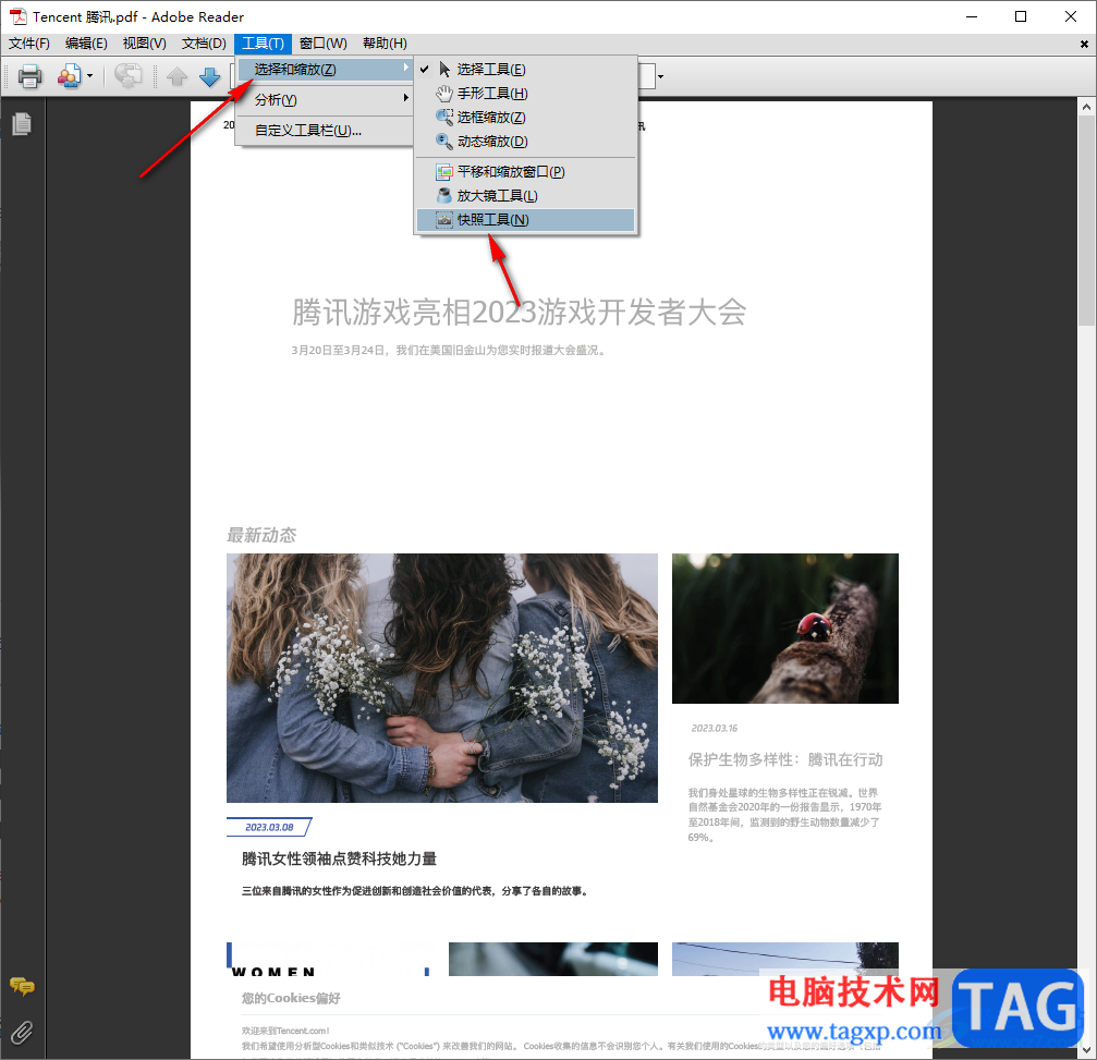 adobe reader 9.0进行截图的方法