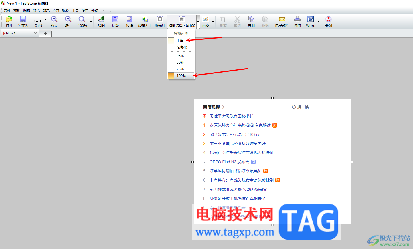 faststone capture给截图打马赛克的方法